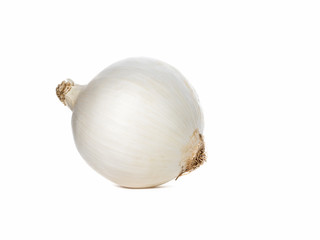 Isolated white onion