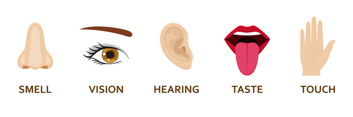 Five human senses icons set. Cartoon design nose, eye, hand, ear and mouth. Vector illustration.