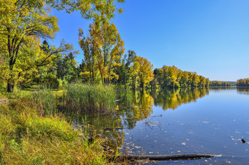 Idyllic autumn landscape with golden leaves of trees near lake