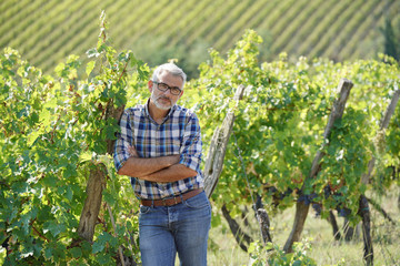 Winemaker standing in vineyard