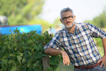 Winemaker standing in vineyard