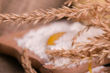 Spikelets of wheat, eggs, milk, flour. Ingredients for bakery products