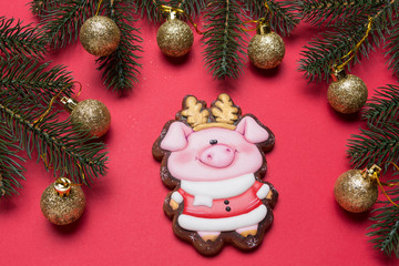 minimal christmas concept, on a red gingerbread cookie surface in the shape of a piglet, around pine branches and golden christmas balls, holiday