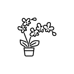 Moth orchid with flowers in pot. Phalaenopsis. Vector line icon 