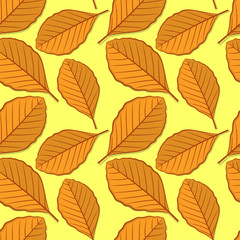 Seamless pattern with beech autumn leaves. Vector illustration.