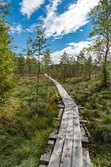 Fototapeta na wymiar a beautiful path through a great bog in Storfors sweden