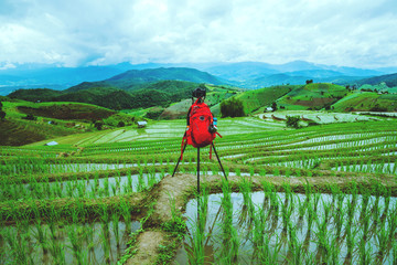 Natural travel relax. Walking take a photo of rice field. in summer.