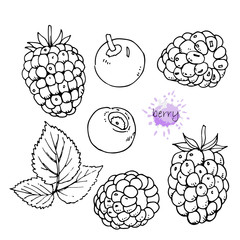 Hand-drawn set of Berries, vector