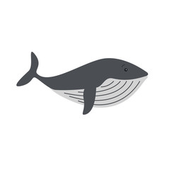 Whales and dolphins sea design icon vector
