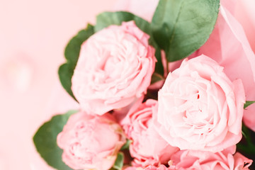 Pink roses on a white background. Soft focus. The concept of wedding and Valentine's day.
