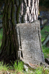 Steintafel am Baum | Steintafel | Denkmal | Mahnmal | alter Baun