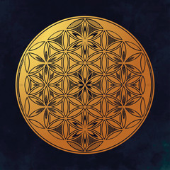 Flower of Life - intersecting circles forming.