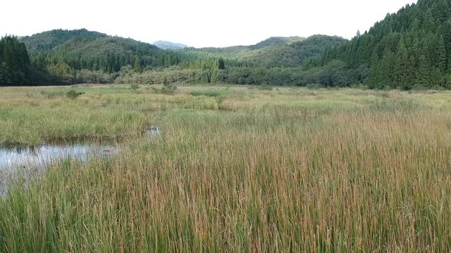 沼　湿原　水面に反射する青空