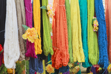 Colorful of raw multi colored cotton. Thai local culture.