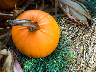 Autumn scene with pumpkins