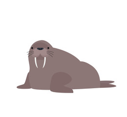 cute cartoon walrus isolated on white background