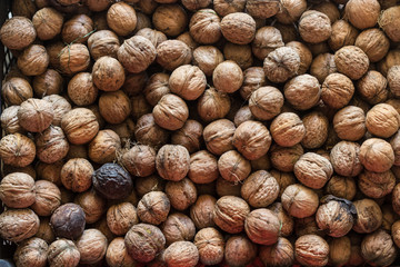 Walnut background texture