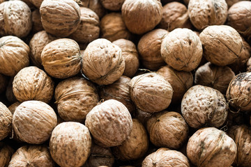 Walnut background texture