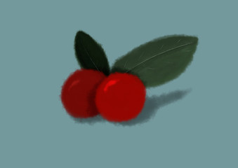 ナンテン　　/南天