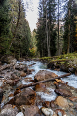 Mountain river. Bright yellow and red autumn in the mountains. Kavkaz. Dombay.