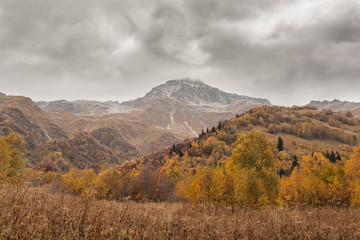 Bright yellow and red autumn in the mountains. Kavkaz. Dombay.