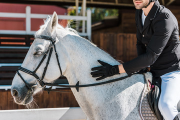 cropped image of male equestrian riding and palming horse at horse club