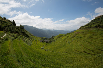 landscape in asia on a cloudy day