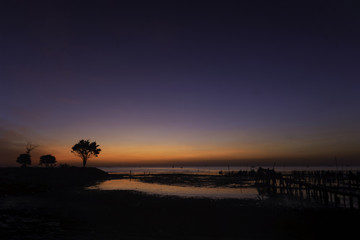 Fototapeta na wymiar The tree on coast with sweet sky at sunrise.