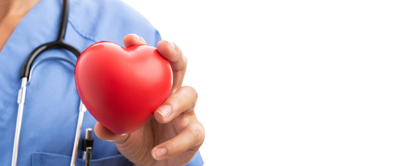 Closeup of woman cardiologist doctor hand holding red toy heart.