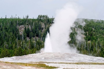 eruzione old faithful geyser, yellowstone national park, america, usa