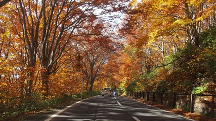 青森の紅葉