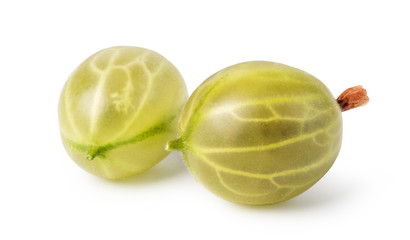gooseberry