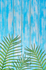 Green tropical palm leaves on blue wooden background. Text space