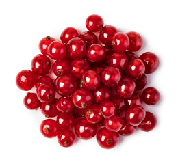 Red currants