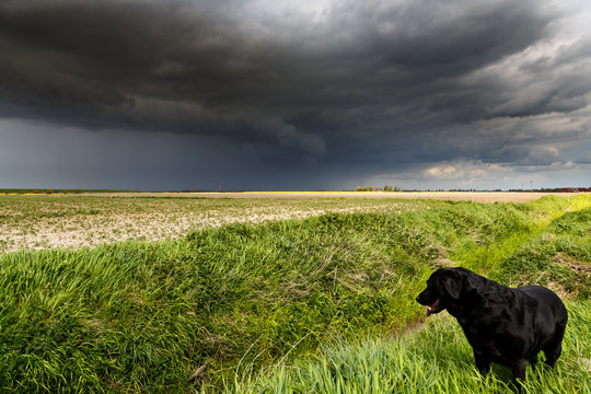 Unwetter &uuml;ber Ostfriesland