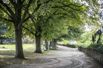 Parkbäume an der Burg Esslingen, Deutschland