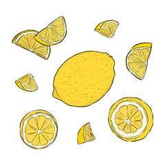 Hand-drawn illustration of Lemon. Vector