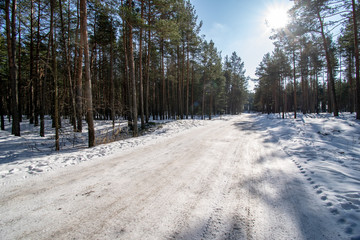 Fototapeta premium snowy winter countryside scene with snow and frozen trees