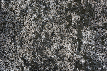 Macro view Stone Brick Wall with moss texture background.