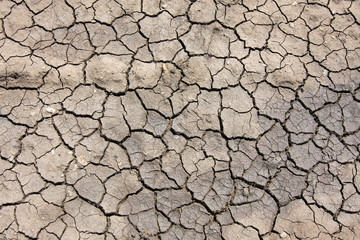 Dry soil cracked texture