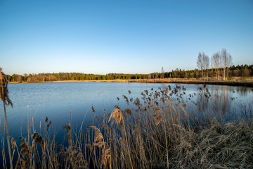 Fototapeta premium bents in sunset by the lake