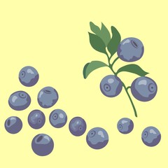 blueberries on a light background
