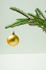 Prickly Christmas tree branch on a light background with a Christmas toy. Minimalism