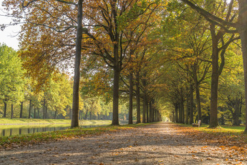 Autumnal impressions in a park, the Karlsaue in Kassel, Germany