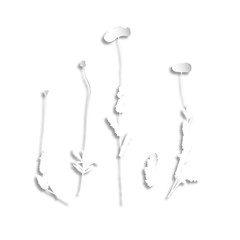 Floral and herbal decorative background. Isolated  silhouettes in papercut  style. Paper collage effect with light shadow. 