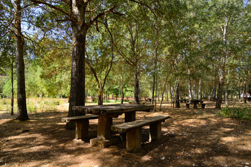 Recreation area in the Tables of the Yedra, Piedrabuena, Ciudad Real.