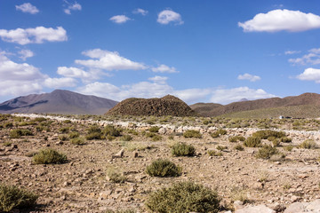 Atacama Desert, Chile