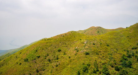 Obraz premium Green mountain nature background