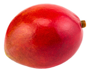 Mango isolated on white background Clipping Path