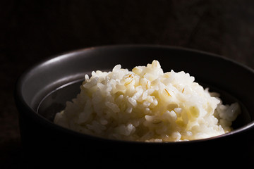 もち麦、米、ご飯、炊飯